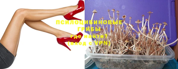 первитин Абинск