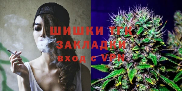 крисы Абаза