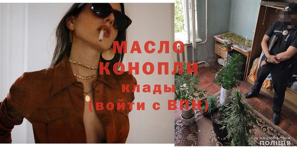 крисы Абаза