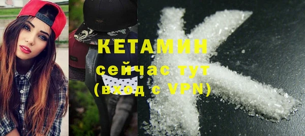 крисы Абаза
