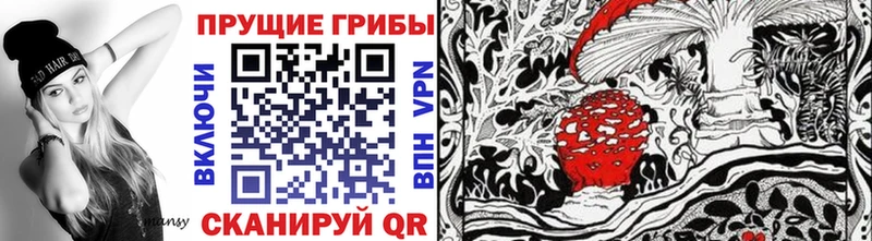 Псилоцибиновые грибы MAGIC MUSHROOMS  сайты даркнета как зайти  Иннополис 